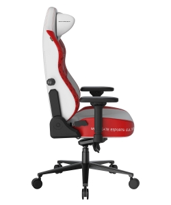 DXRacer CRA/DXL5000/ASHWINDER.WR компьютерное кресло