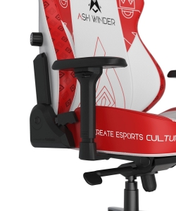 DXRacer CRA/DXL5000/ASHWINDER.WR компьютерное кресло