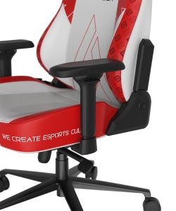 DXRacer CRA/DXL5000/ASHWINDER.WR компьютерное кресло