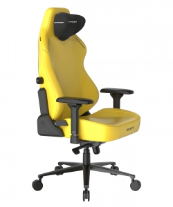 DXRacer CRA/DXL5000/Y компьютерное кресло