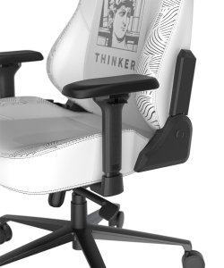 DXRacer CRA/DXL5000/THINKER компьютерное кресло