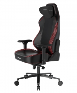 DXRacer CRA/DXL5000/FOLDLINE компьютерное кресло