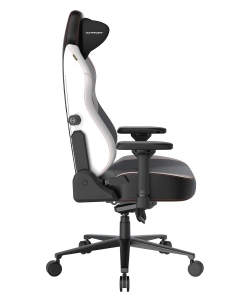 DXRacer CRA/DXL5000/TEAMSFS компьютерное кресло