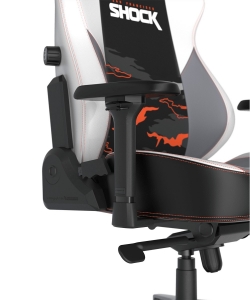 DXRacer CRA/DXL5000/TEAMSFS компьютерное кресло