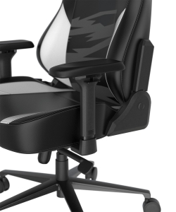 DXRacer CRA/DXL5000/TEAMNRG компьютерное кресло