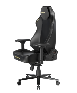 DXRacer OH/LMT24LTA/N.N.Y компьютерное кресло