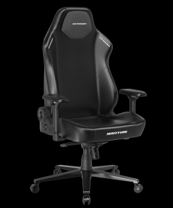 DXRacer OH/XLMT24LTA/N компьютерное кресло