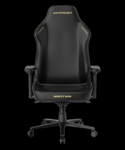 DXRacer OH/XLMT24LTA/N.N.Y компьютерное кресло