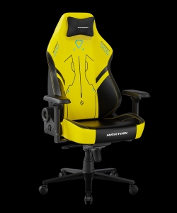 DXRacer GC/LMT24LTA/PIONEERMECH.NY компьютерное кресло