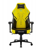 DXRacer GC/XLMT24LTA/PIONEERMECH.NY компьютерное кресло